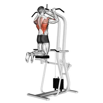 Assisted Pull Up