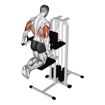 Assisted Triceps Dip