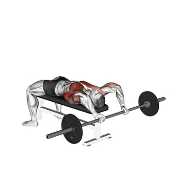 Barbell Pullover To Press