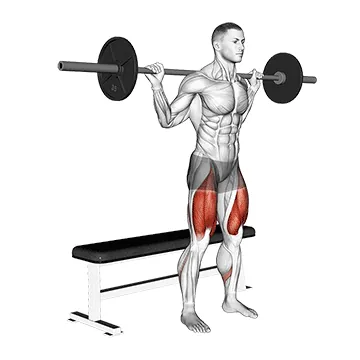 Barbell Bench Squat
