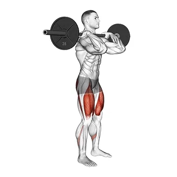 Barbell Clean grip Front Squat