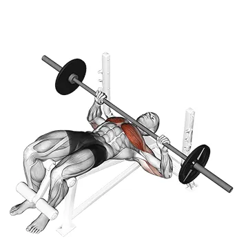 Decline Barbell Bench Press