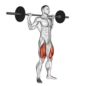 Barbell Back Squat