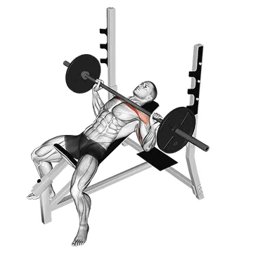 Incline Barbell Bench Press