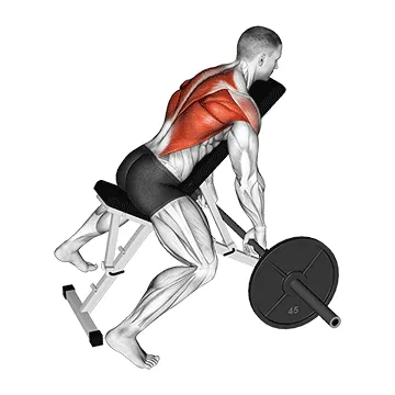 Barbell Incline Row