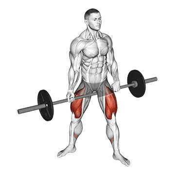 Barbell Jefferson Squat