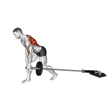 Barbell One Arm Bent over Row