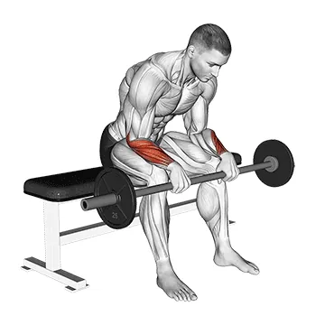 Barbell Revers Wrist Curl (VERSION 2)