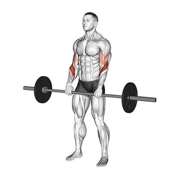 Reverse Curl