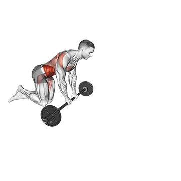 Barbell Ab Rollout