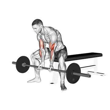 Barbell Seated Close Grip Concentration Curl