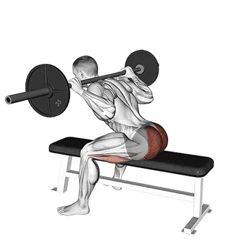Barbell Seated Good Morning