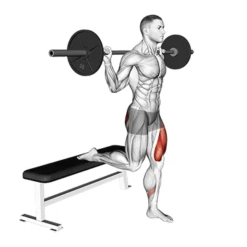 Barbell Single Leg Split Squat
