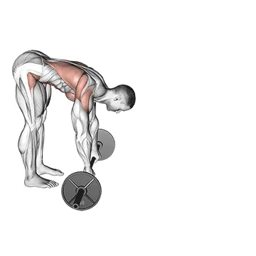 Barbell Standing ab rollout