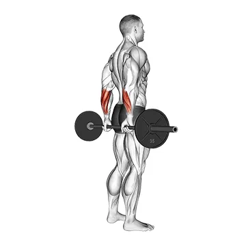 Barbell Standing Back Wrist Curl