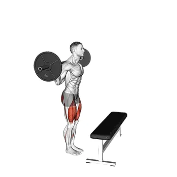 Barbell Step Up