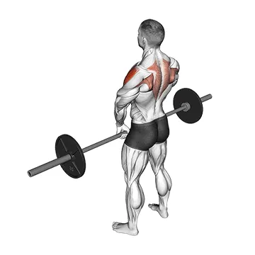 Upright Row