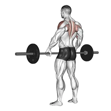 Barbell Wide Grip Upright Row