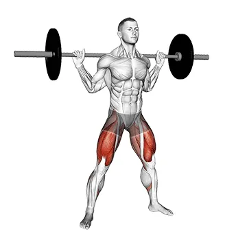 Barbell Wide Squat