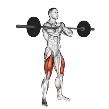 Zercher Squat