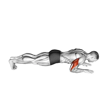 Body Up