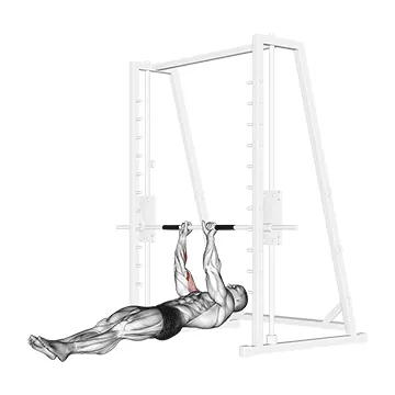 Brachialis Narrow Pull ups