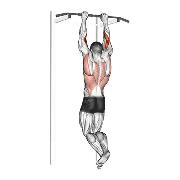 Brachialis Pull Up
