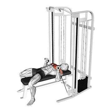 Cable Bench Press