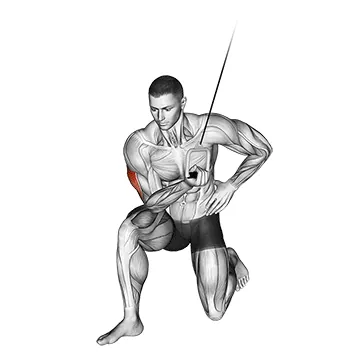 Cable Concentration Extension (on knee)