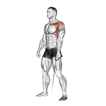 Cable Forward Raise