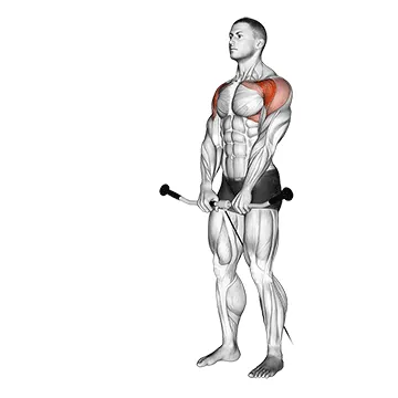 Cable Front Raise
