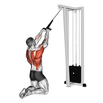 Cable High Row (kneeling, rope attachment)