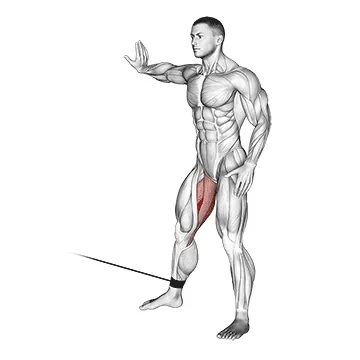Cable Hip Abduction