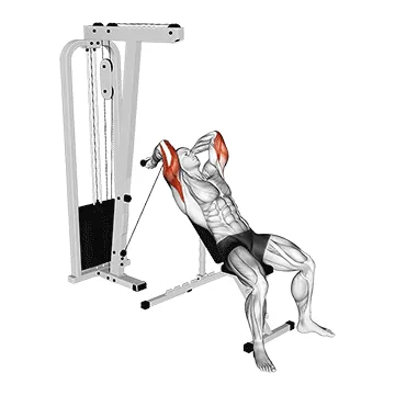 Cable Incline Triceps Extension