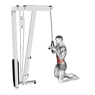 Cable Kneeling Crunch