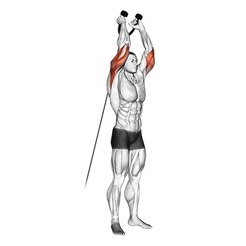 Cable Overhead Triceps Extension