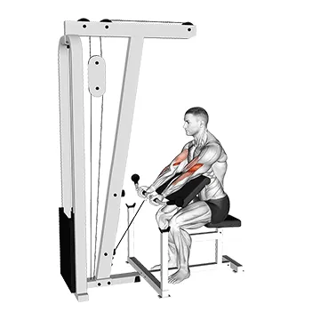 Cable Preacher Curl