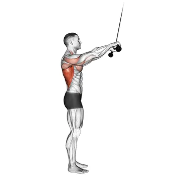 Cable Pushdown (straight arm) (VERSION 2)