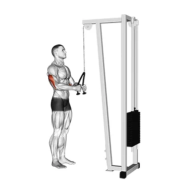 Rope Pushdown