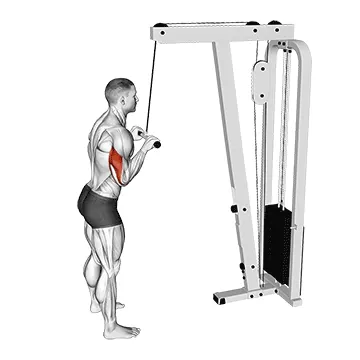 Cable Pushdown