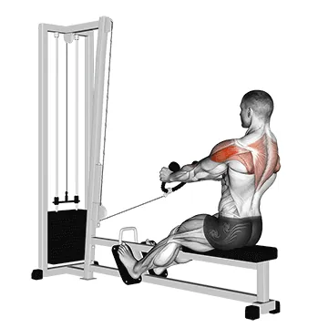 Cable Rear Delt Row