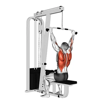 Cable Rear Pulldown