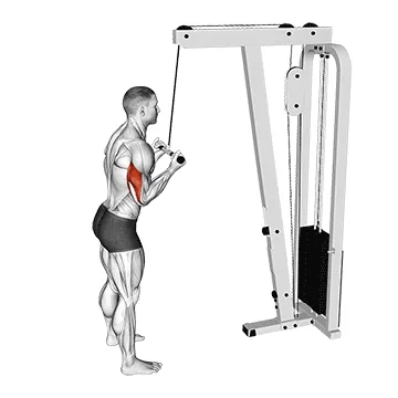 Reverse-Grip Pushdown