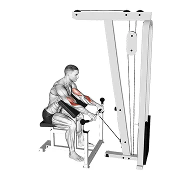 Cable Reverse Preacher Curl