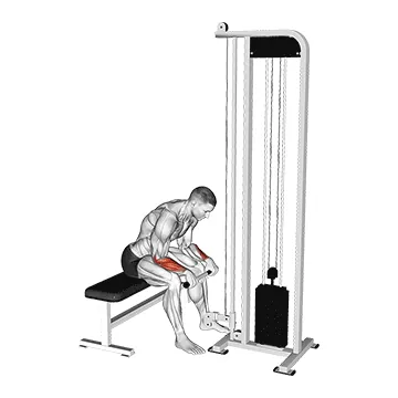 Cable Reverse Wrist Curl