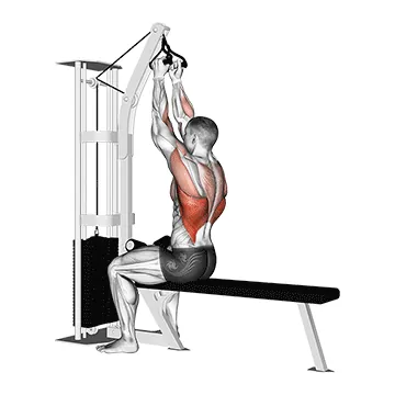 Cable Seated High Row (V bar)
