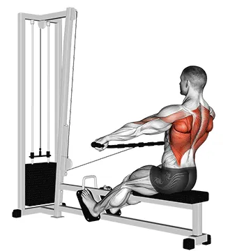 Cable Seated Wide grip Row