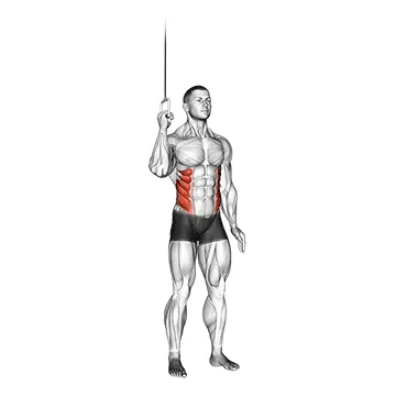 Side Crunch