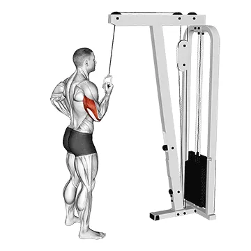 Cable Standing One Arm Triceps Extension