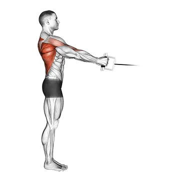 Cable Standing Row (V bar)